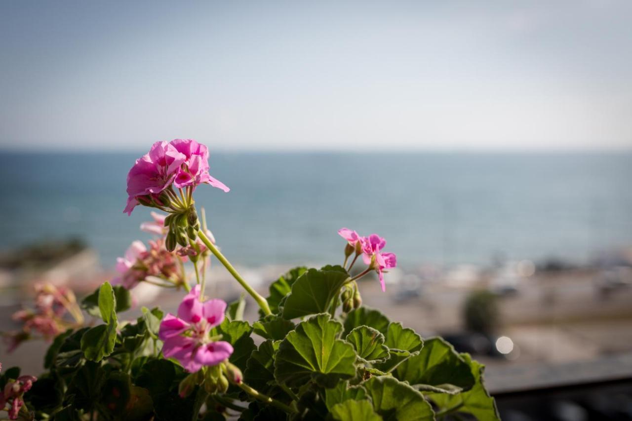 Salsedine Sea View Bed and Breakfast Salerno Eksteriør billede